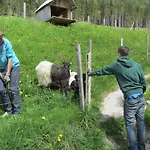 Reitercamp Ortnerhof Bauernhof *