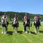 Bauernhof Reitercamp Ortnerhof Ramsau am Dachstein
