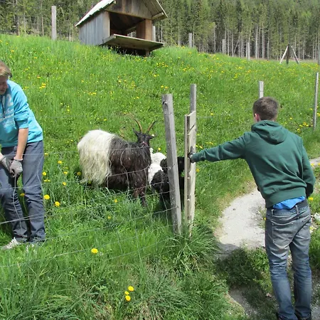 Reitercamp Ortnerhof 팜스테이 *