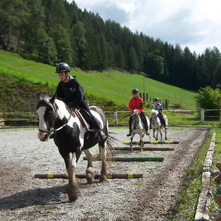 Reitercamp Ortnerhof 팜스테이 *