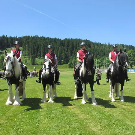 팜스테이 Reitercamp Ortnerhof 람자우 암 다흐스타인