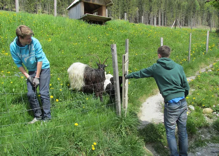 Reitercamp Ortnerhof Alloggio per agriturismo *