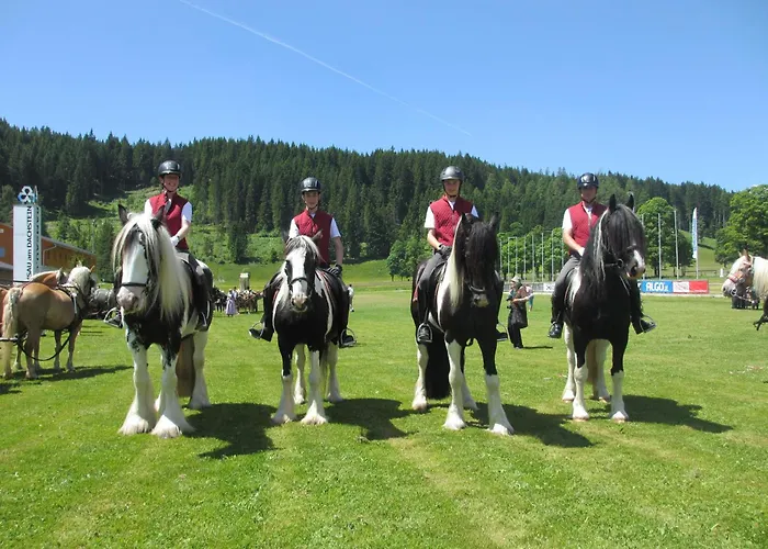 Çiftlik konaklama Reitercamp Ortnerhof Ramsau am Dachstein